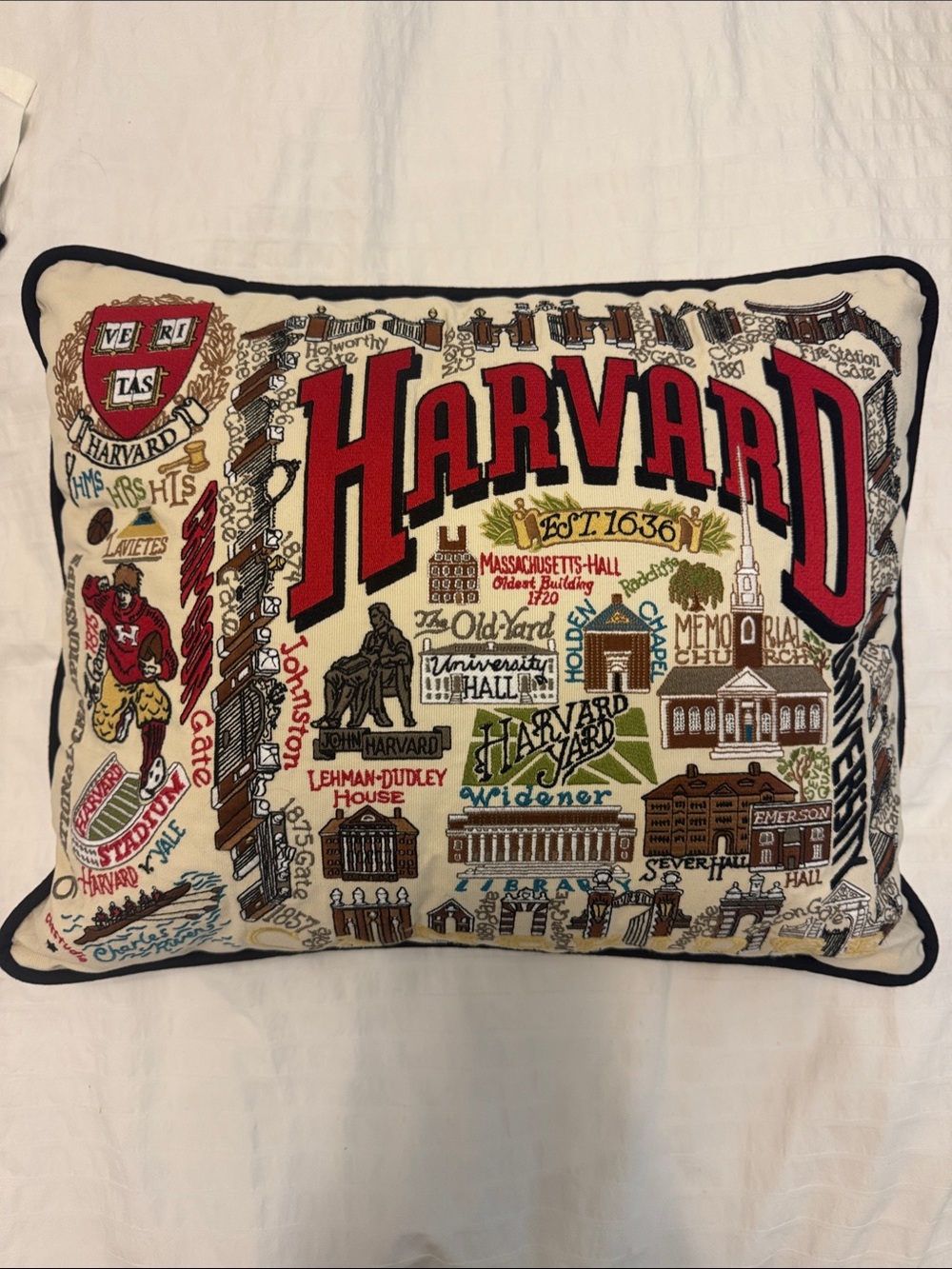 Harvard Embroidered Pillow Case with Insert - catstudio collegiate collection